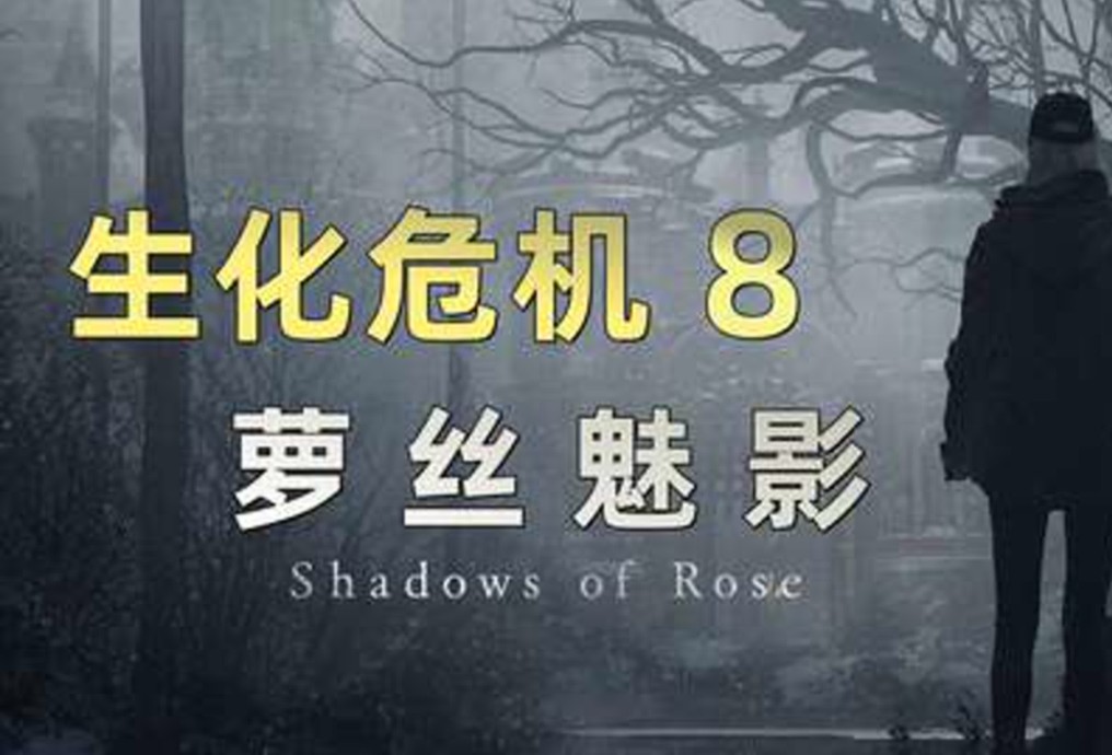 [图]【听雨】《生化危机8DLC：萝丝魅影》胆小鬼初见流程解说 第二期  黑暗人格的侵蚀