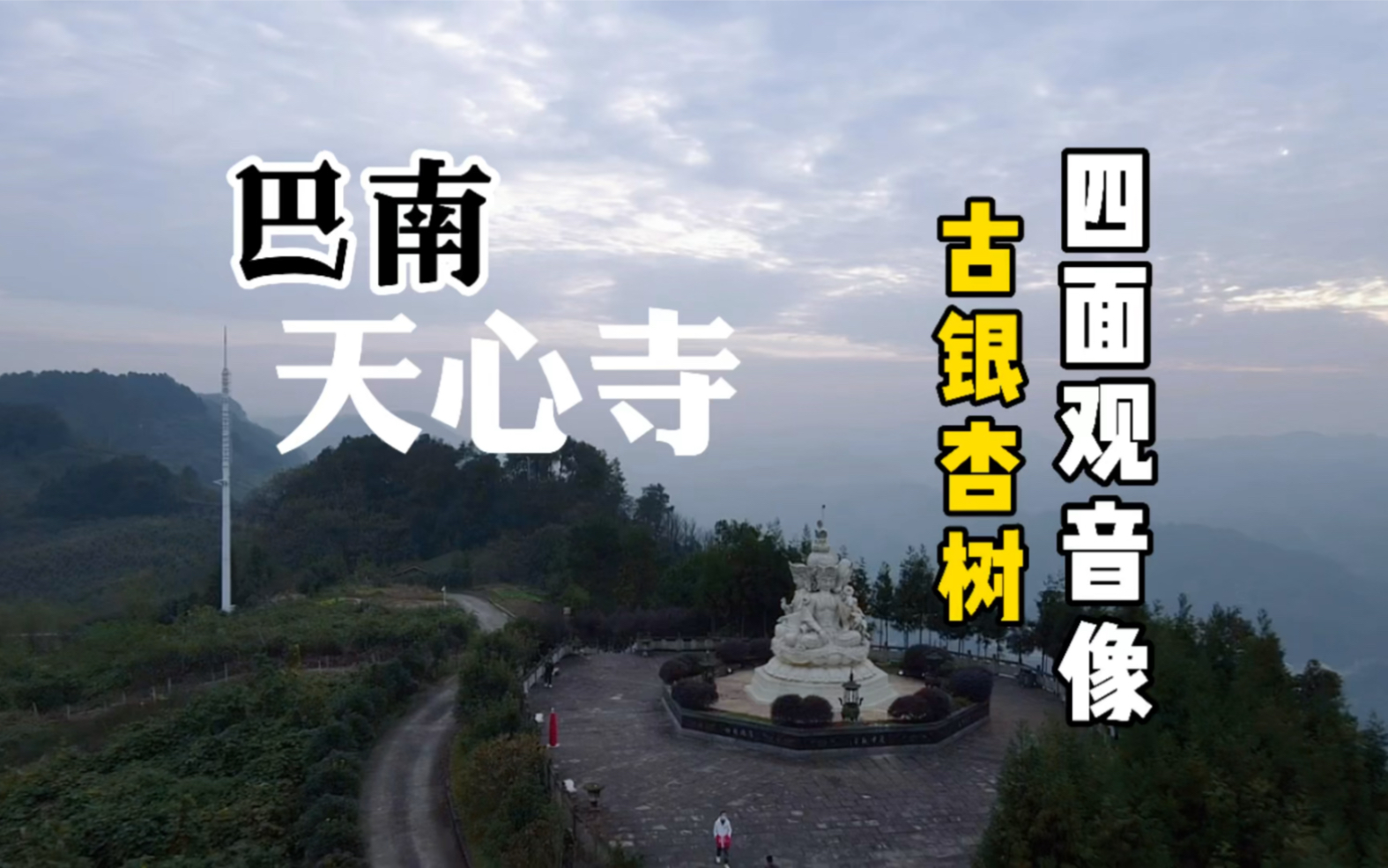 巴南天心寺千年古銀杏樹四面觀音像隨拍