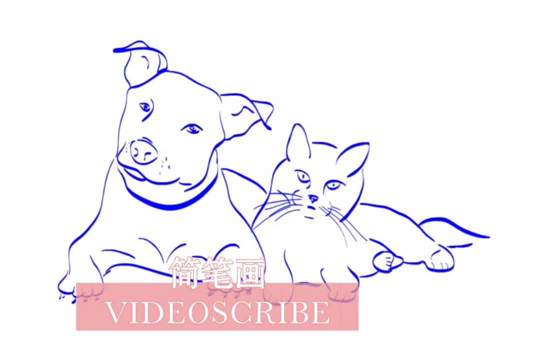 猫狗的和谐时光