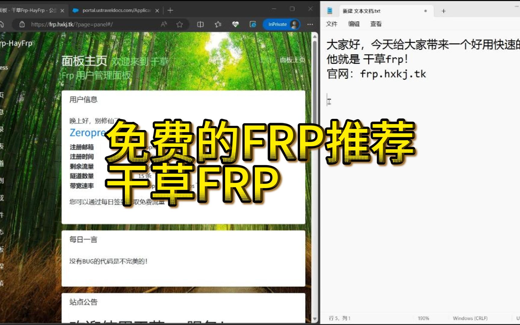 【推荐】一款不错的快捷的轻巧的免费FRP 干草FRP哔哩哔哩bilibili