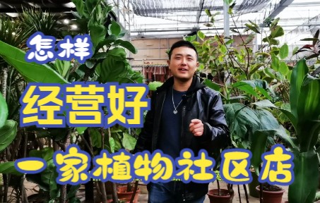 怎样经营好一家植物社区店?哔哩哔哩bilibili