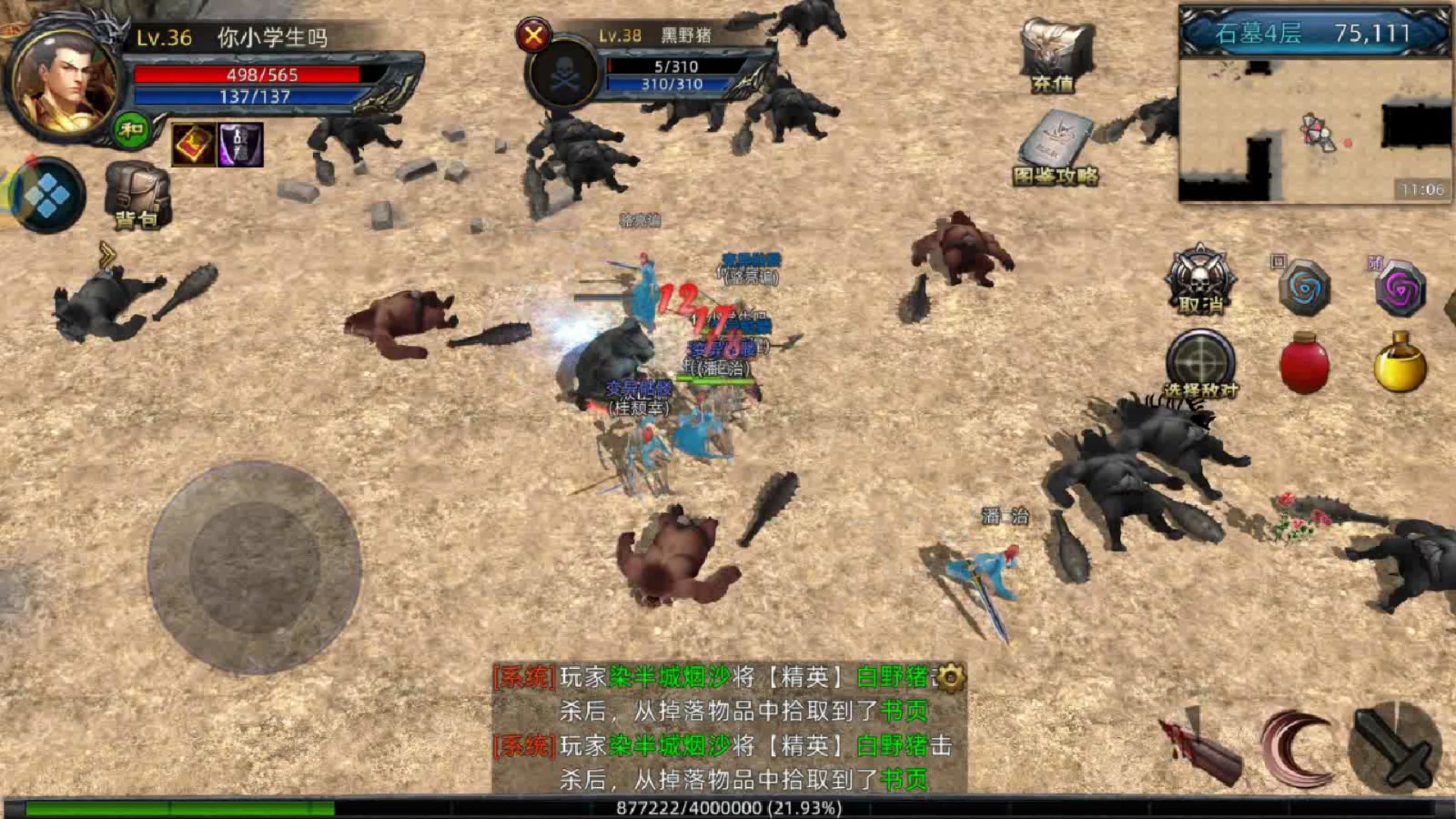 传奇3d:地上全是黑野猪红野猪,一进来就知道发生了什么