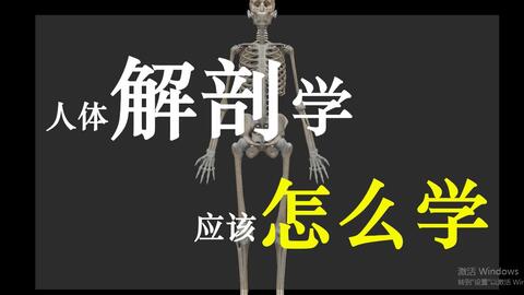 医学生丨人体解剖/系统解剖学经验分享丨APP/课程推荐丨运动系统循环