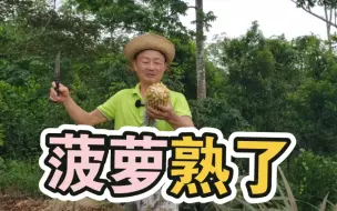 Скачать видео: 廖老三又来吃菠萝🍍了