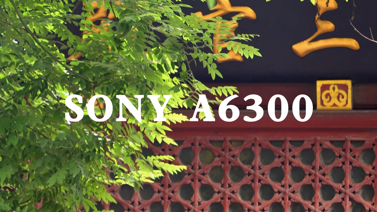 索尼a6300 北京白云观 《三个道系青年的一天》