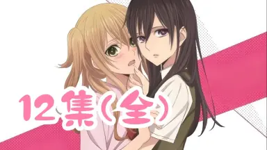橘ケンチ-哔哩哔哩_Bilibili
