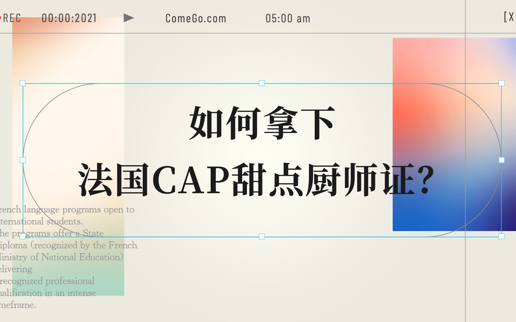 想不想获得法国西点CAP国家职业资格证书?这个视频来帮您!哔哩哔哩bilibili