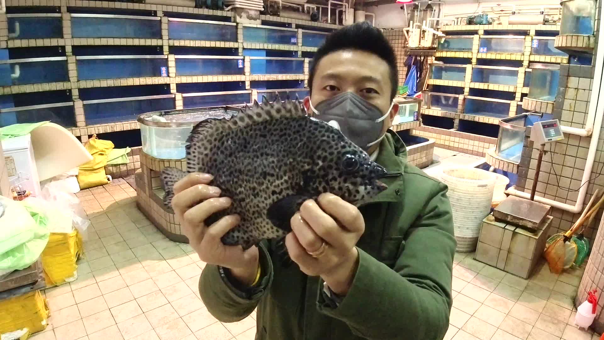 来自海南的瑰宝 花金鼓