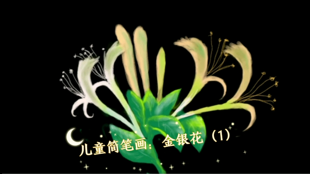 儿童简笔画:金银花(1)
