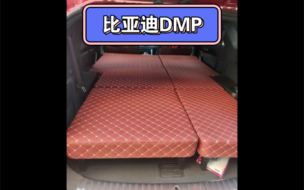 比亚迪dmp车型改床车