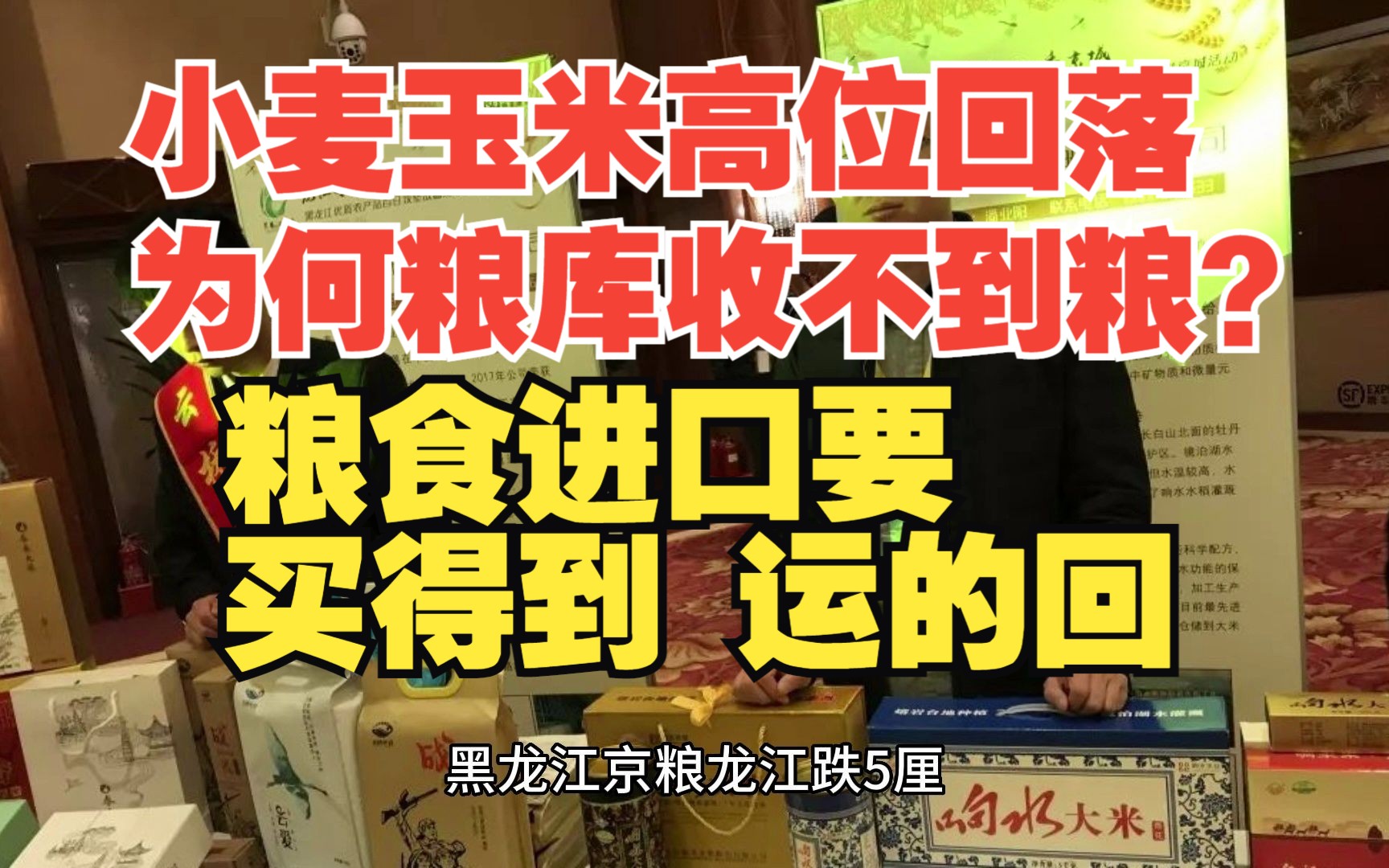 小麦玉米价格高位回落,为何粮库1.53元依旧收不到粮?官方媒体刊文,粮食进口要买得到、运的回哔哩哔哩bilibili