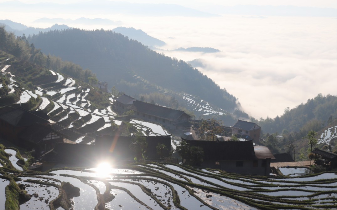 [图]【景色实在太美了•四季多变•紫鹊界】梯田 云海 旭日 自驾 自然 乡村 山水 自然 田野 大山 瀑布 紫鹊界梯田，景色实在太美了！