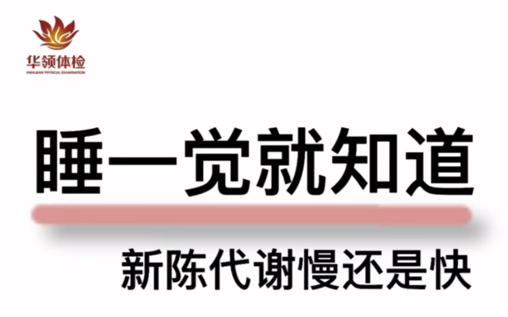 如何知道你的新陈代谢是快还是慢?睡一觉就知道了哔哩哔哩bilibili