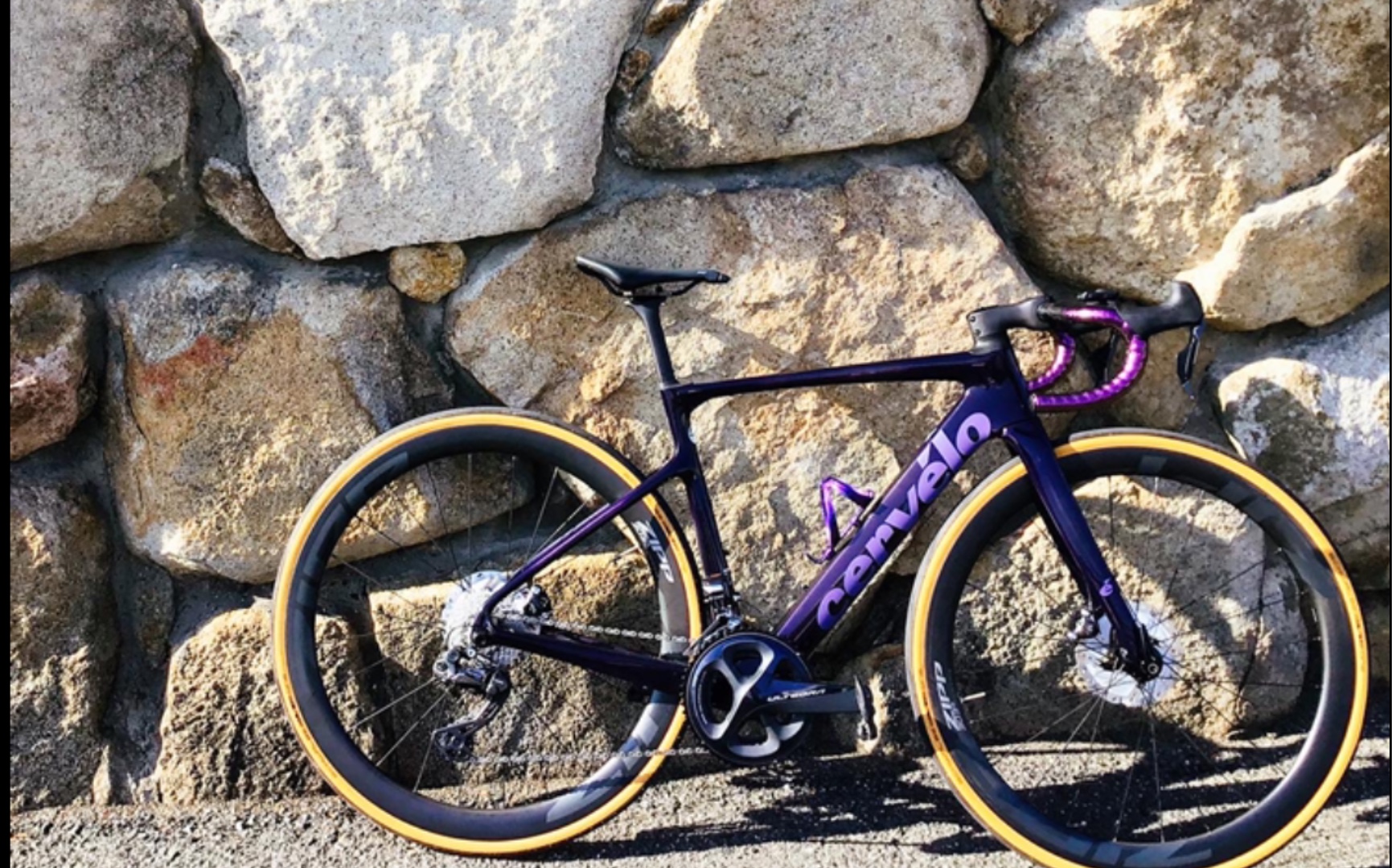 cervelocaledonia5实物测评