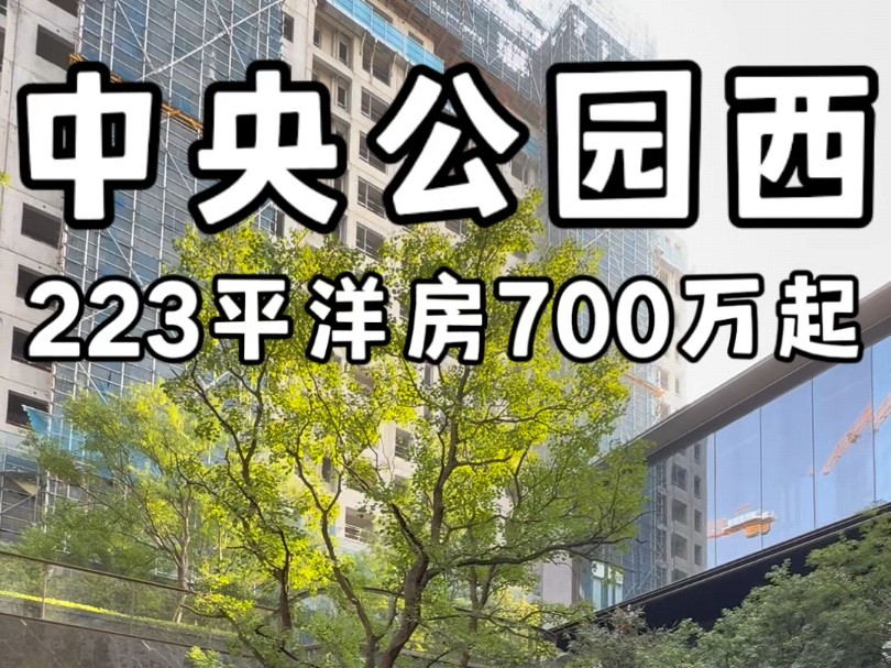 合肥骆岗中央公园西223平洋房大平层700万起#合肥大平层推荐#合肥大平层设计#合肥大平层#合肥新房哔哩哔哩bilibili