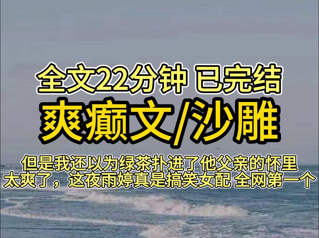 【完结文】爽癫文/沙雕 宝子们,放心食用,一口气看完更过瘾!!!哔哩哔哩bilibili