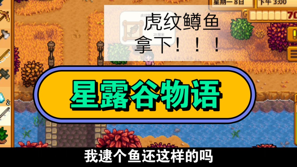 【星露谷物语】虎纹鳟鱼拿下了!