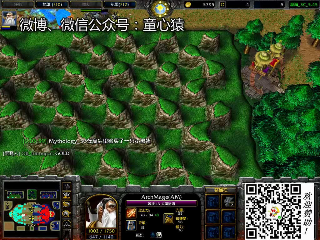 《澄海3c》晨曦 vs 56[2] 光明视角【猿游:那些年我们魔兽rpg】_哔哩