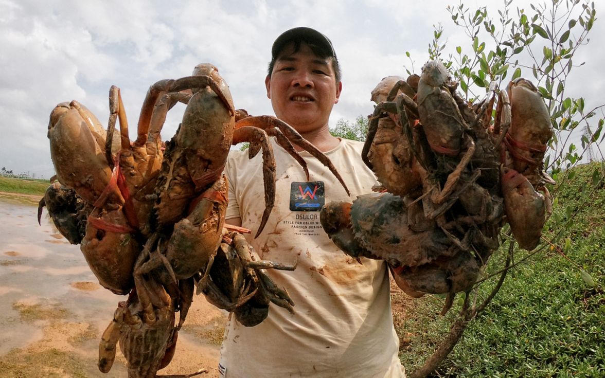 泥滩湾赶海撞大运,一眼望去都是超大螃蟹王,刀仔过来抓爆桶了哔哩哔哩bilibili