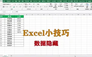 Video herunterladen: excel小技巧：数据隐藏的技巧，升职加薪系列