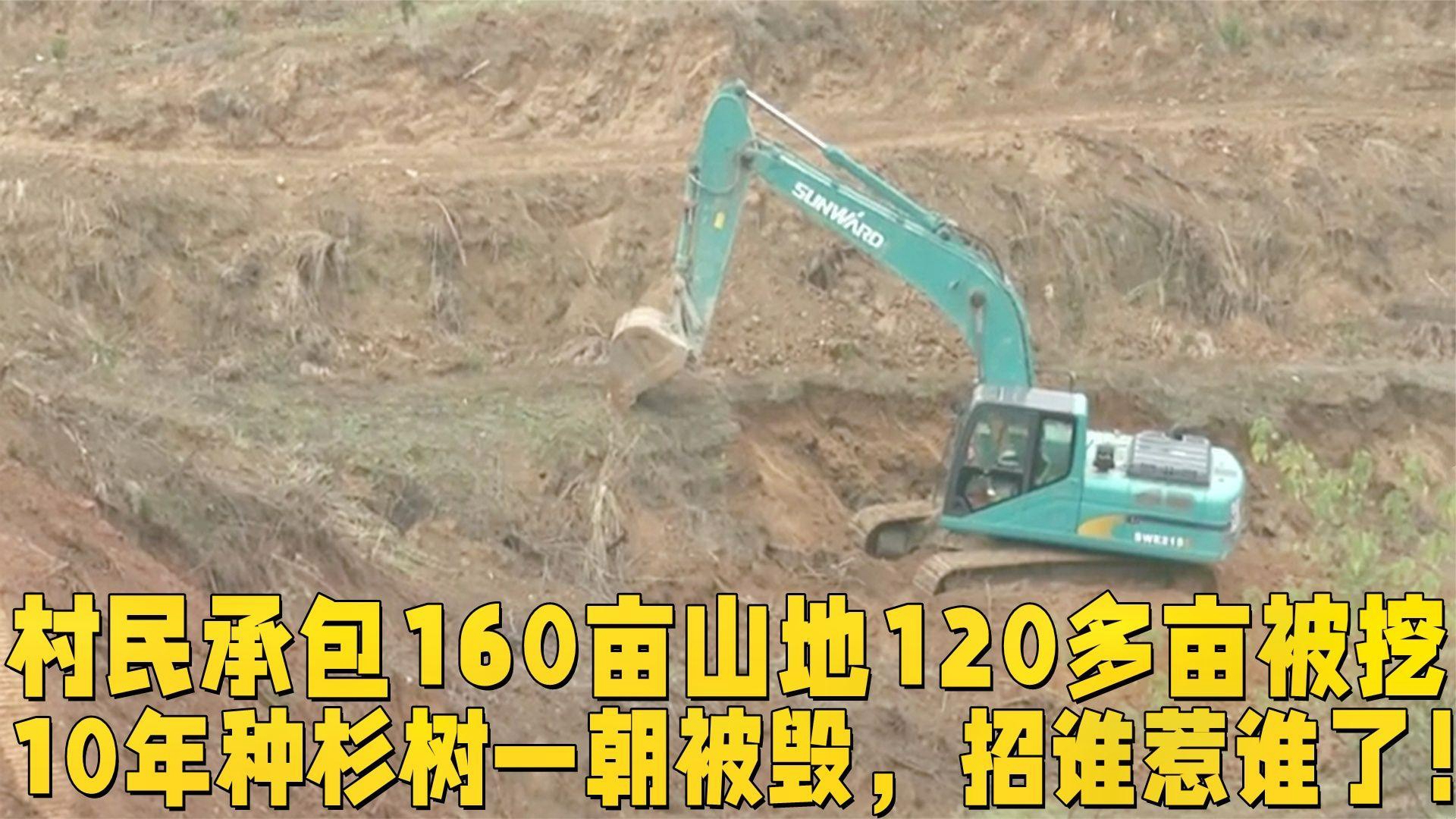 村民包160亩山地120多亩被挖,10年种杉树一朝被毁,招谁惹谁了!哔哩哔哩bilibili