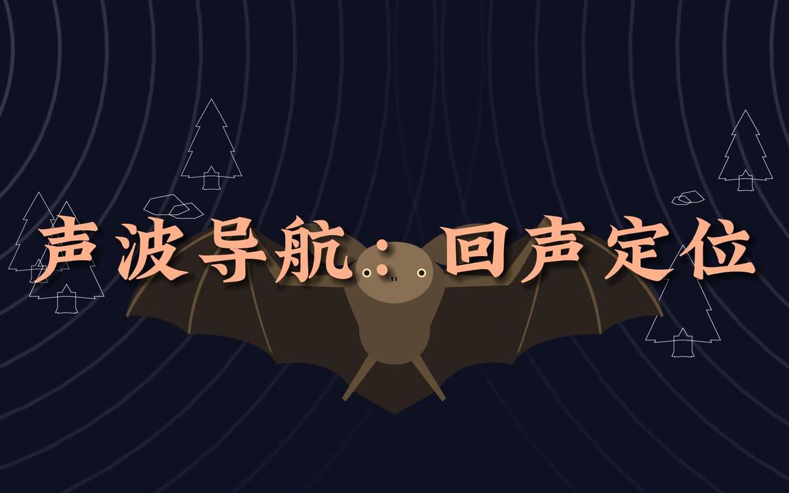 蝙蝠的夜间飞行之谜，揭开回声定位系统的神秘面纱_哔哩哔哩_bilibili