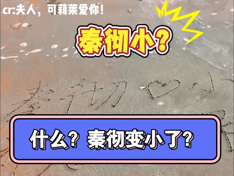 什么??秦彻变小了??果然祁煜你被秦彻重金悬赏也是有原因的哈哈哈哈