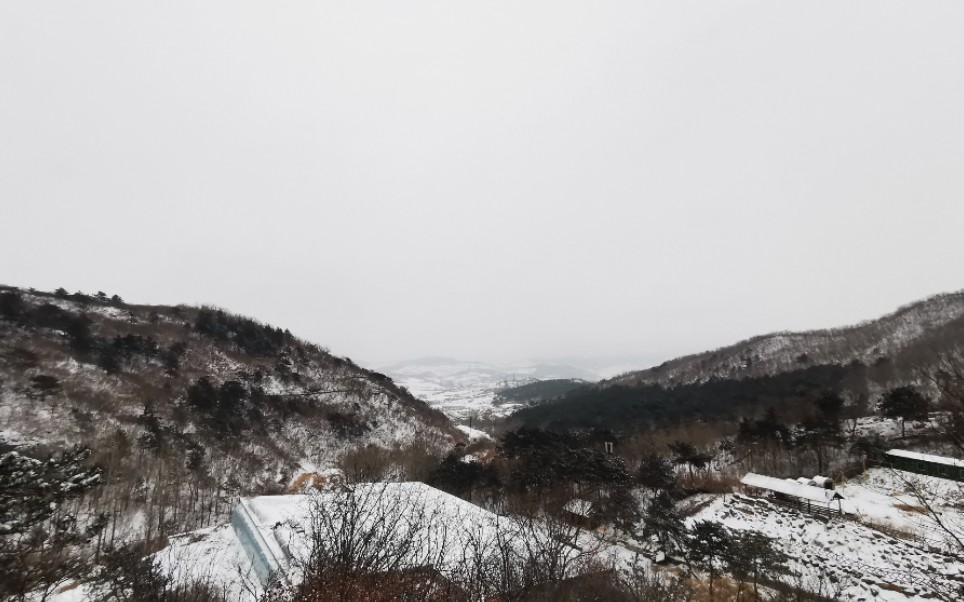 [图]飞雪玉花，康康北方的大雪！