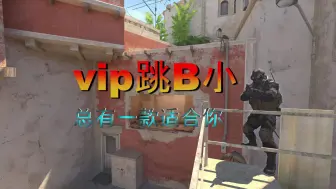 Video herunterladen: 【CS2】vip跳B小，总有一款适合你