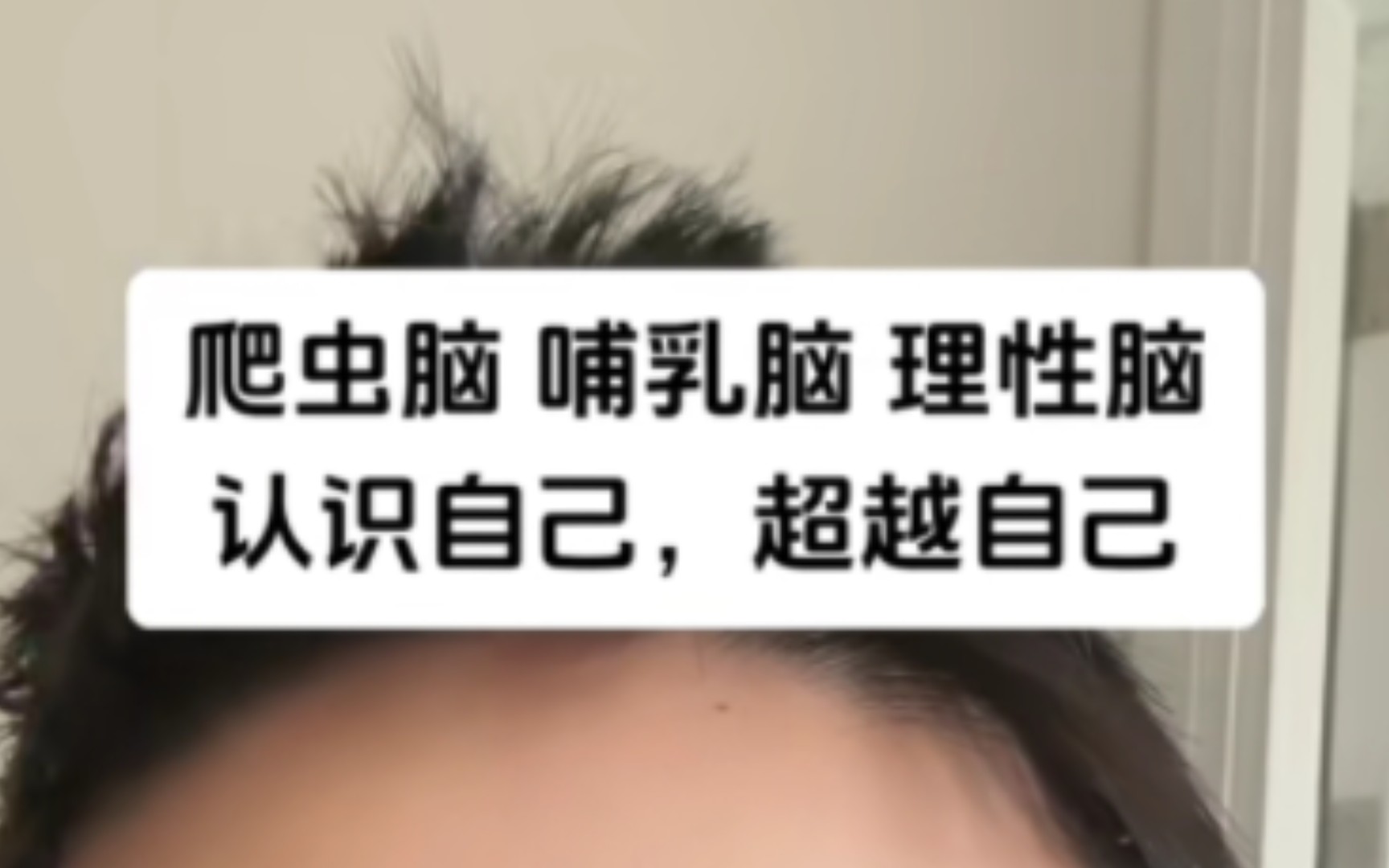 道理并不完全影响人的决策,人更多被爬虫脑和哺乳脑影响哔哩哔哩bilibili