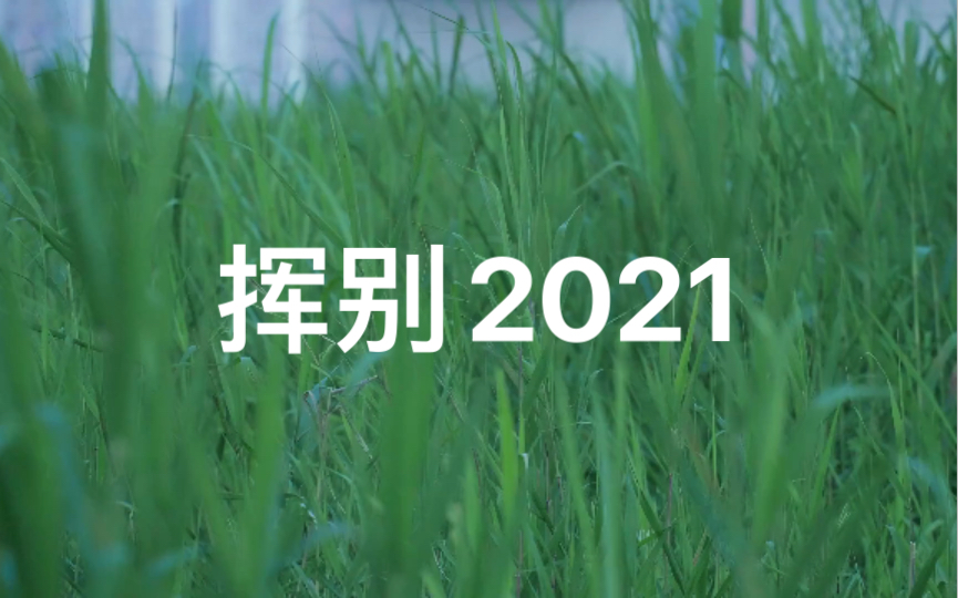 [图]挥别2021