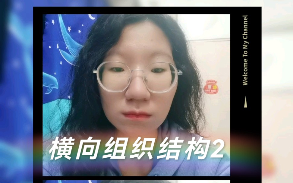 M型组织结构,事业部组织结构,战略业务单位组织结构傻傻分不清?一起来看看横向分工结构2吧!哔哩哔哩bilibili