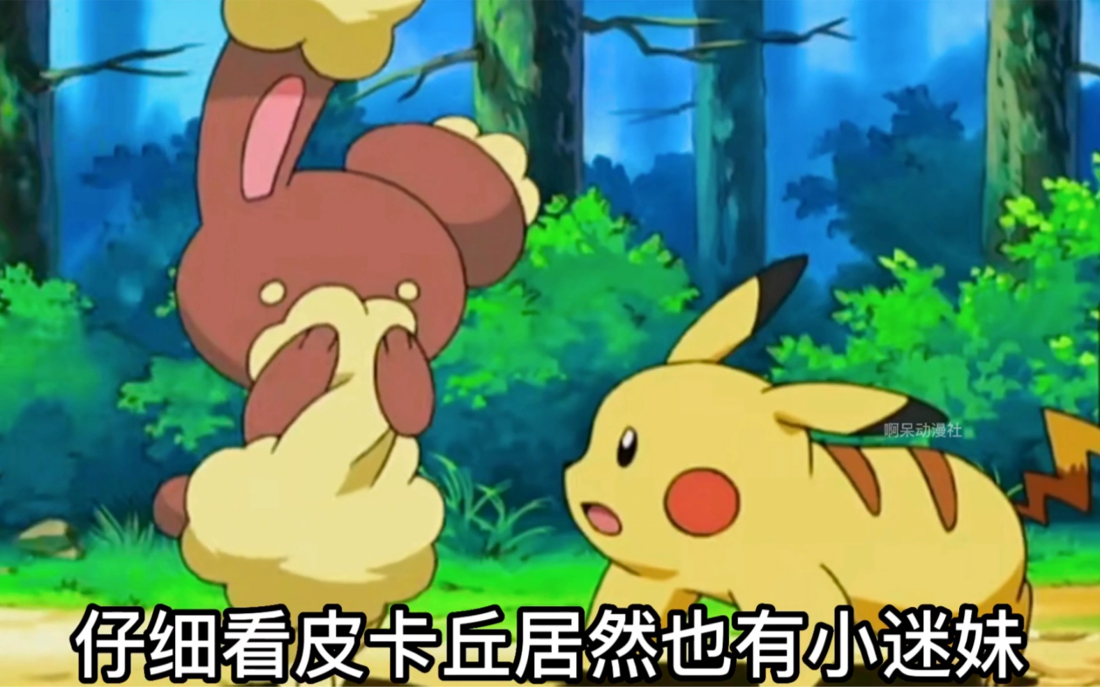 小光收服皮卡丘的小迷妹卷卷耳