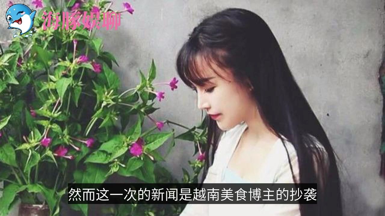 李子柒被越南网红模仿,简直就是复制粘贴,律师称难追版权