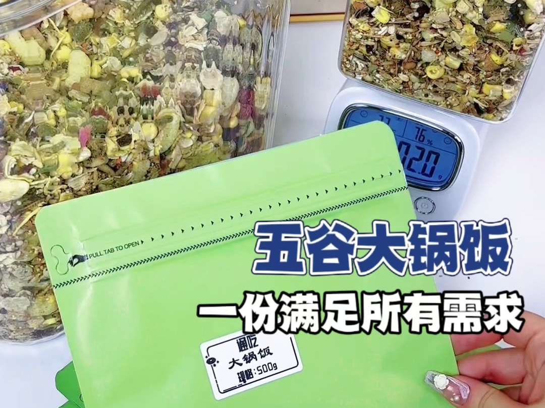 谷物大锅饭一份满足仓鼠所有需求95沉浸式解压超爽