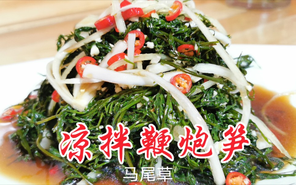 鞭炮笋的功效(鞭炮笋的功效大揭秘)