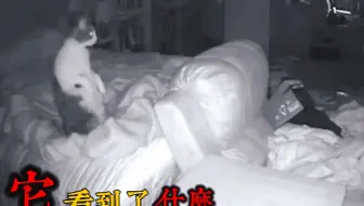 【科学无法解释】镜头下，来自世界各地的灵异瞬间TOP7！|怪现象、探灵、猎奇