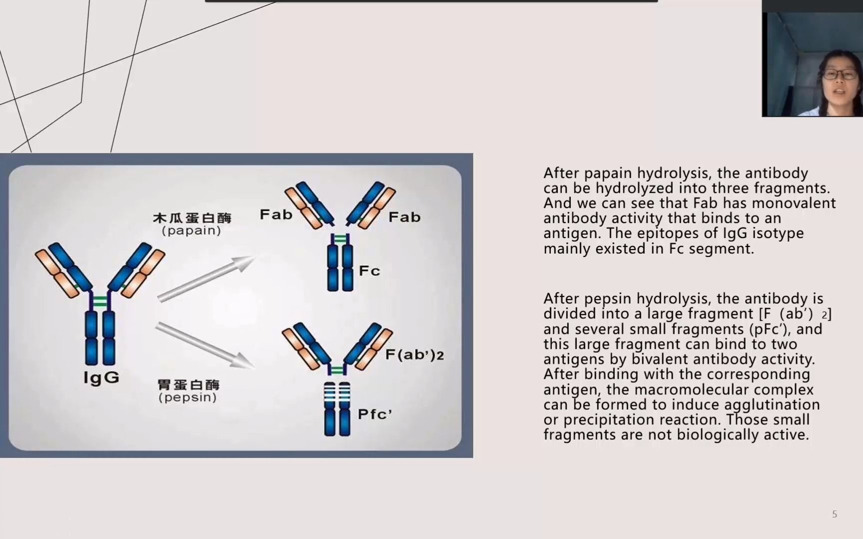 [图]《免疫学检验双语课程》学生作业赏析