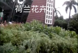 花卉小镇,启动!哔哩哔哩bilibili