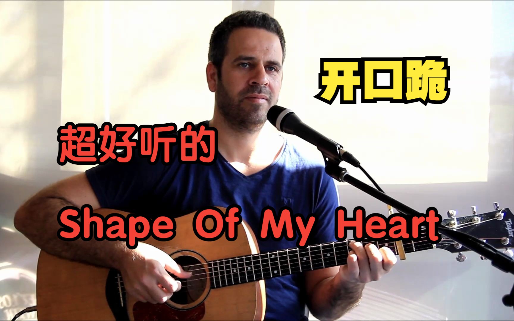 [图]这个杀手不太冷主题曲，深沉的Shape Of My Heart翻唱