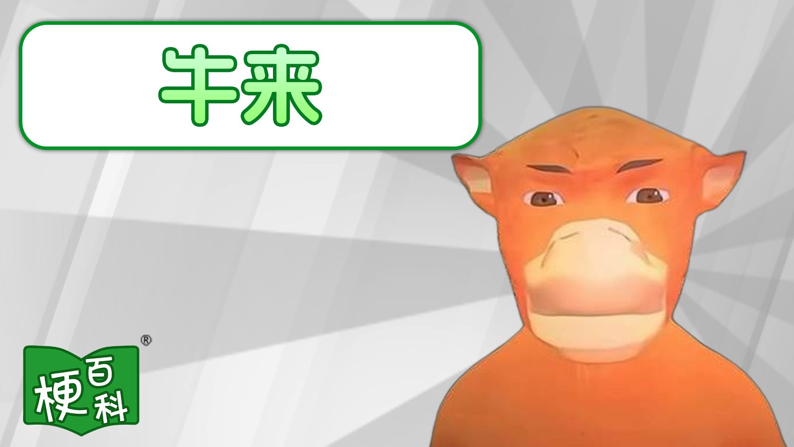 【梗百科】牛来是啥梗？