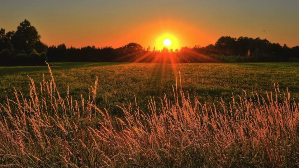 "为什么太阳落山了都还没来"