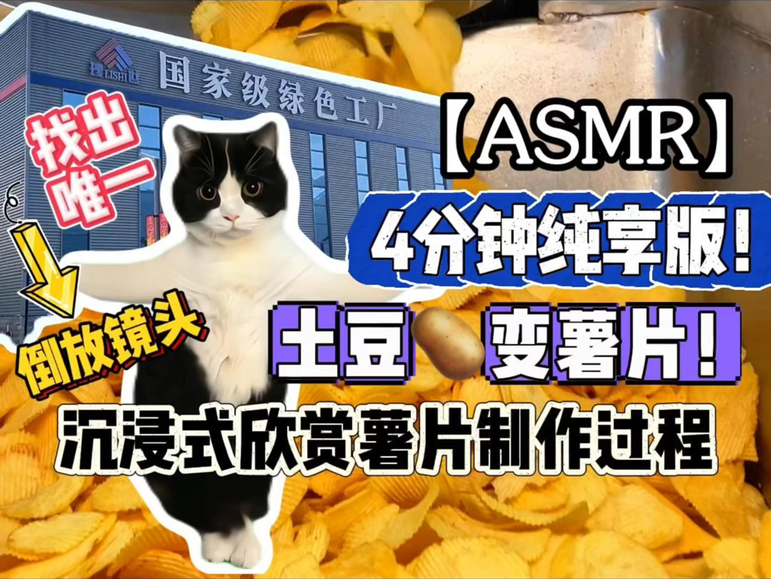 【ASMR暑片工厂】土豆变薯片!噜咪啦薯片的制作全过程,谁要的4分钟纯享版!快来,加大难度,请找出唯一的倒放视频!哔哩哔哩bilibili