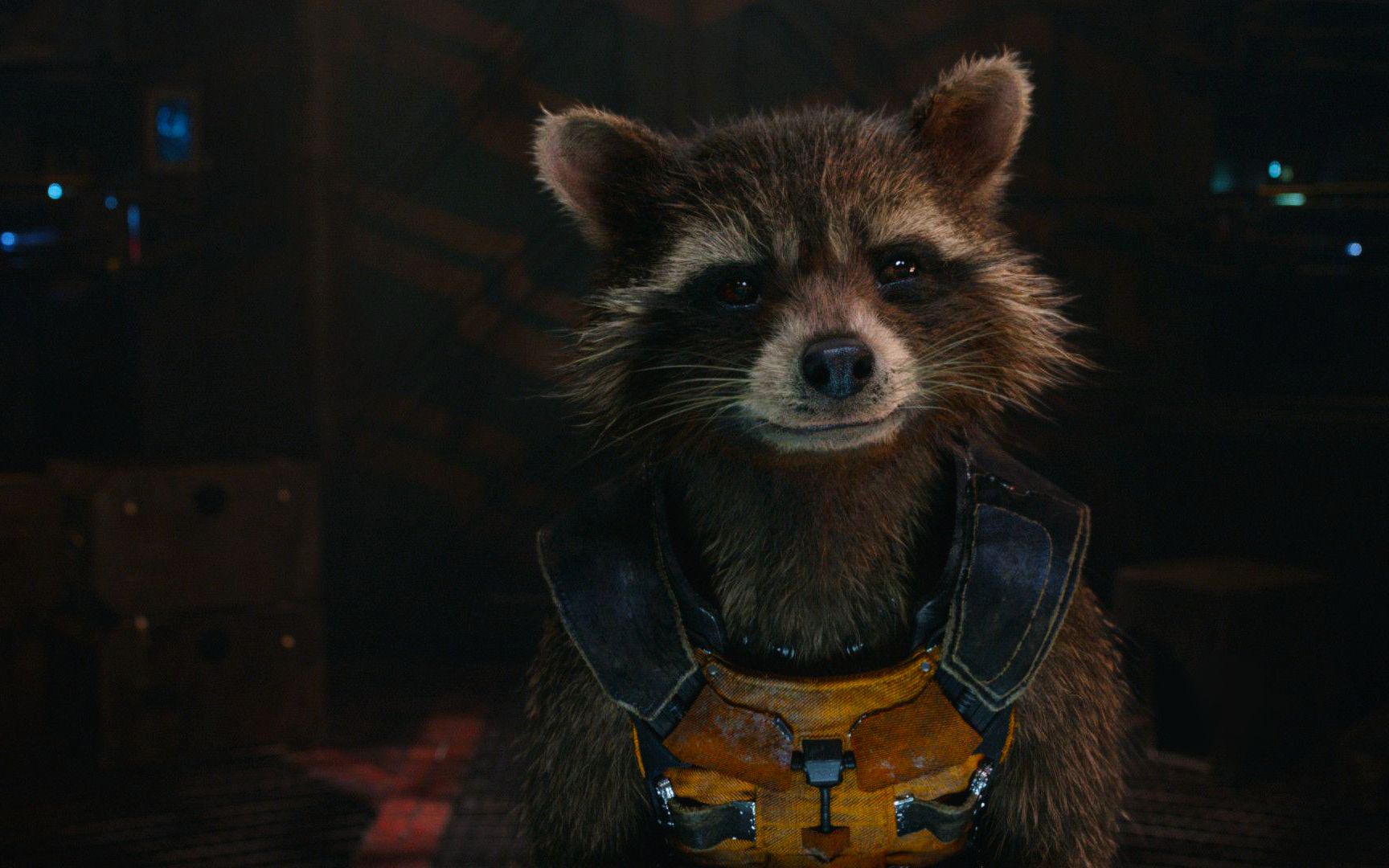 被基因改造与机械试验的低等级生物 我还能失去什么 《火箭浣熊》