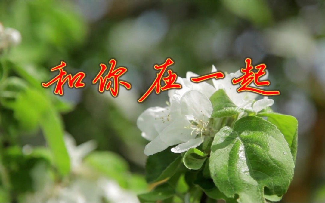 和你在一起