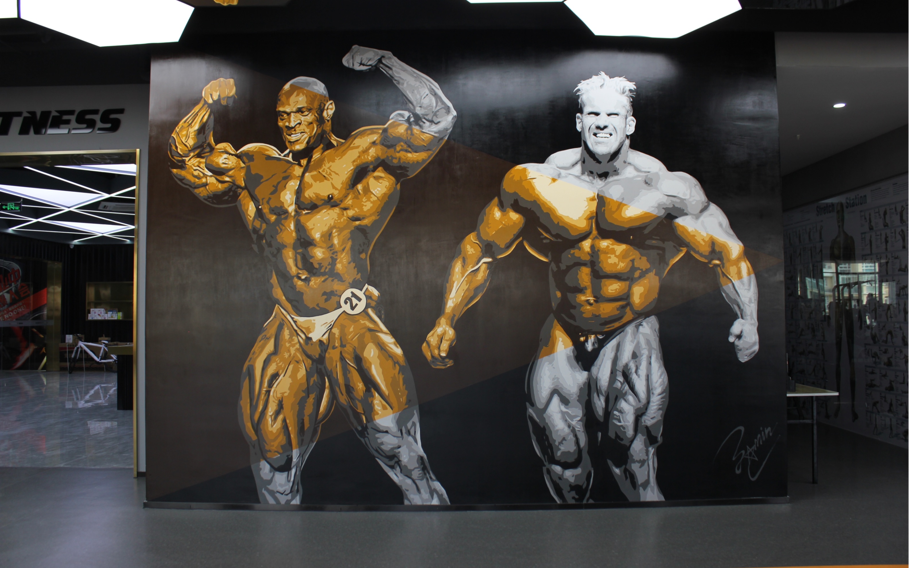 当画家爱上健美48天刷新个人纪录的全过程