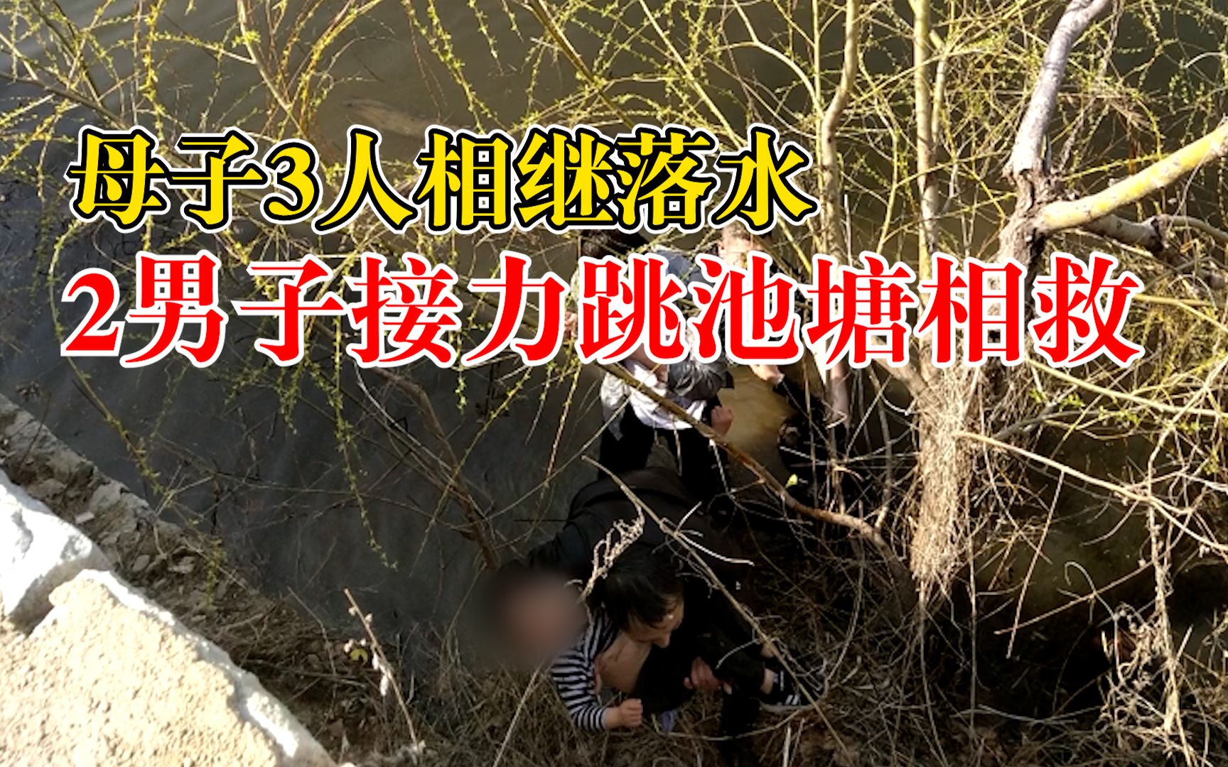 母子3人相继落水2男子跳池塘相救,落水母亲:发自心里的感谢哔哩哔哩bilibili