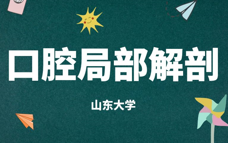 《口腔局部解剖学》系列课程(完整版)哔哩哔哩bilibili