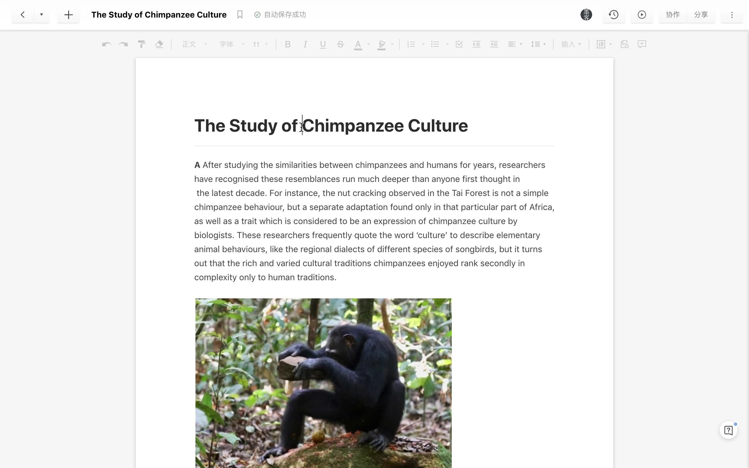 雅思阅读带答案上考场之The Study of Chimpanzee Culture 1哔哩哔哩bilibili