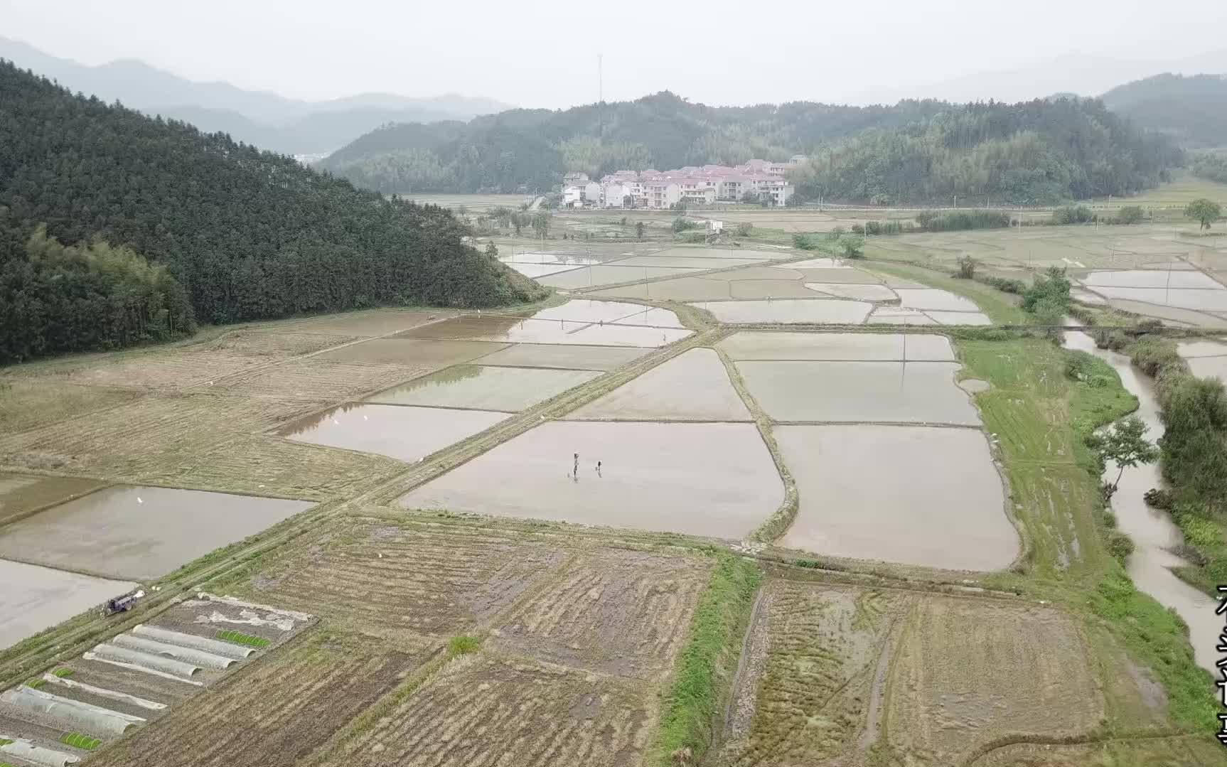 农村大叔一人承包600亩稻田,给自己定了个小目标,挣它个30万元哔哩哔哩bilibili